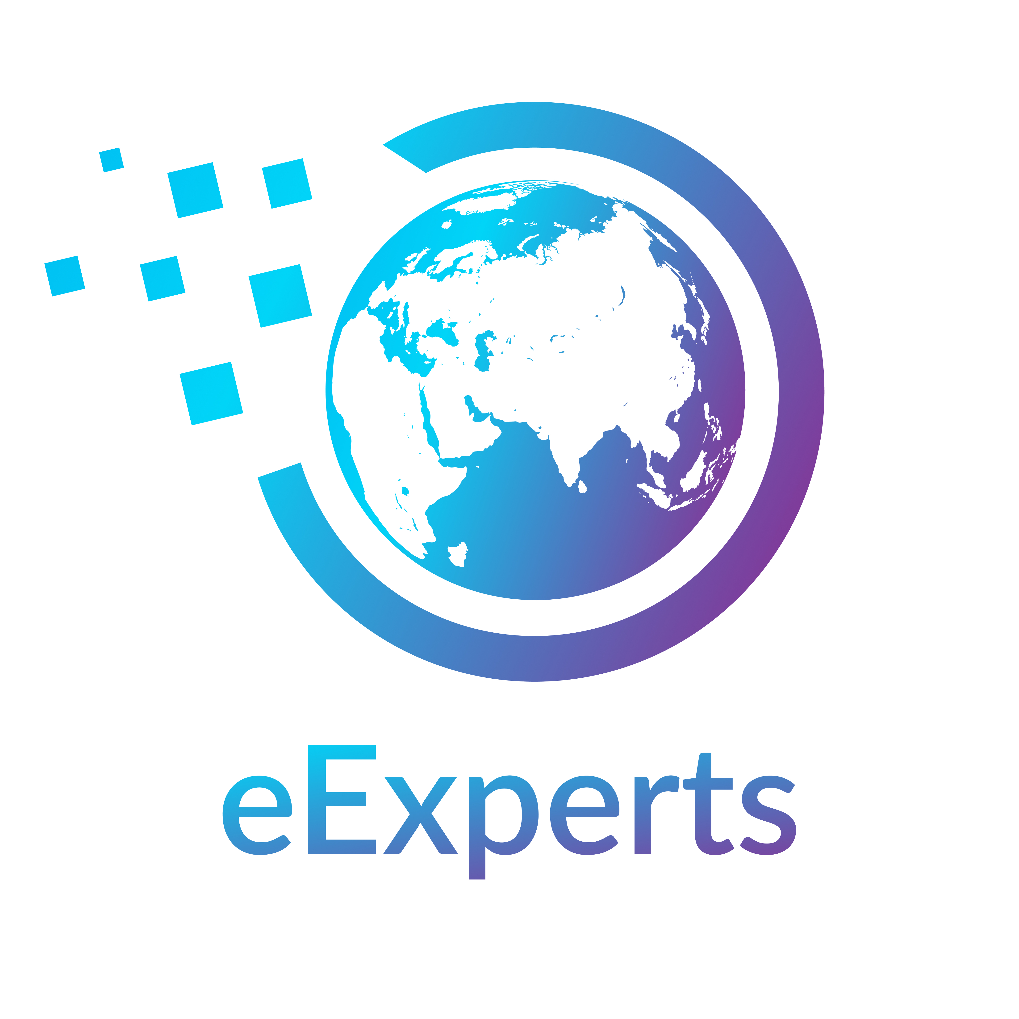 Efficiency Experts Data Solutions